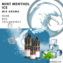 MINT MENTHOL ICE 10 - 15 - 30 ML MIX AROMA