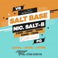 SALT BASE - CHEM SALT-B WİLMAR/CHEM
