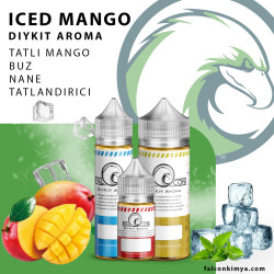 ICED MANGO 30 - 60 - 100 ML DIY-KIT